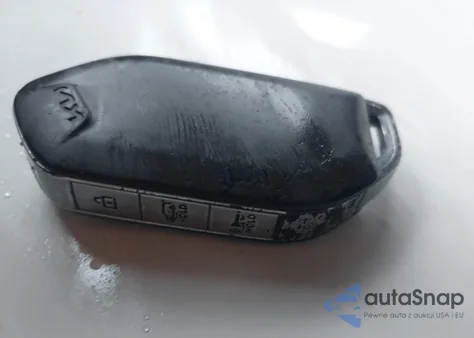 2023 Kia Telluride Ex X-Line z USA, uszkodzony, nr VIN 5XYP3DGC7PG393402